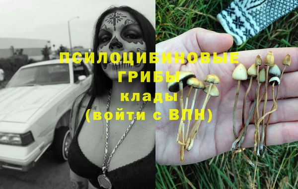 дмт Сатка