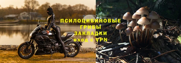 гидропоника Алексин