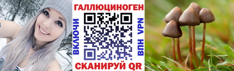 Галлюциногенные грибы Cubensis  Ветлуга 